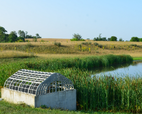 pond drainage solution
