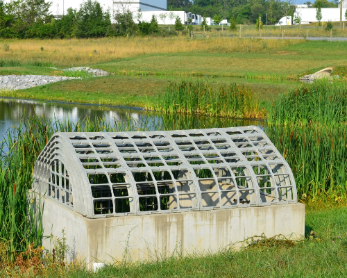 pond drainage solution
